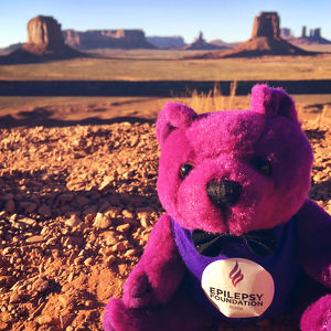 Team Page: Socrates the Seizure Bears